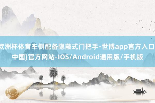 欧洲杯体育车侧配备隐蔽式门把手-世博app官方入口(中国)官方网站-IOS/Android通用版/手机版