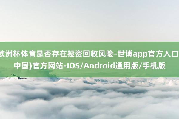 欧洲杯体育是否存在投资回收风险-世博app官方入口(中国)官方网站-IOS/Android通用版/手机版