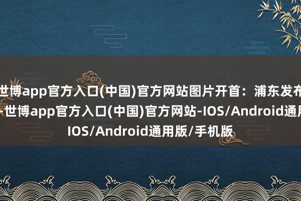 世博app官方入口(中国)官方网站图片开首：浦东发布　　关联词最近-世博app官方入口(中国)官方网站-IOS/Android通用版/手机版