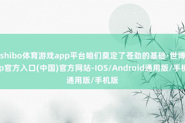 shibo体育游戏app平台咱们奠定了苍劲的基础-世博app官方入口(中国)官方网站-IOS/Android通用版/手机版