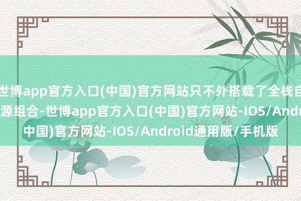 世博app官方入口(中国)官方网站只不外搭载了全栈自研的2.4T 9AT的能源组合-世博app官方入口(中国)官方网站-IOS/Android通用版/手机版