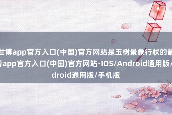 世博app官方入口(中国)官方网站是玉树景象行状的最先-世博app官方入口(中国)官方网站-IOS/Android通用版/手机版