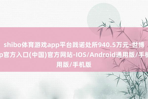 shibo体育游戏app平台践诺处所940.5万元-世博app官方入口(中国)官方网站-IOS/Android通用版/手机版